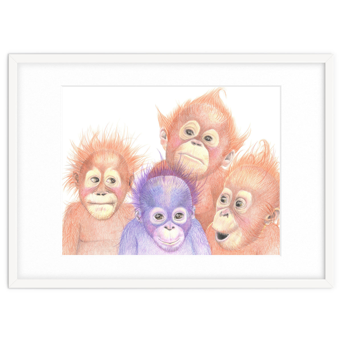 Orangutan Babies