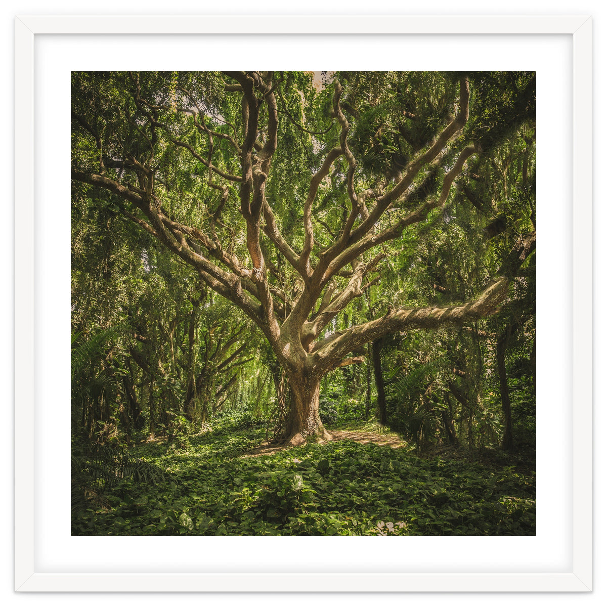 Spirits inside the wood