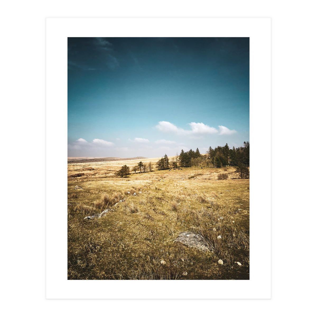 Dartmoor  (Print Only)