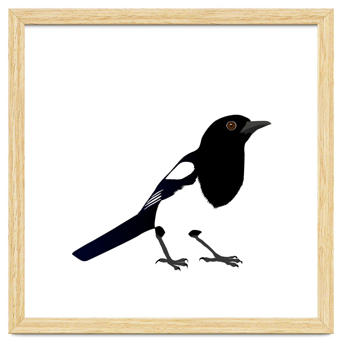 Magpie