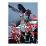Bird Trainer (Print Only) thumbnail