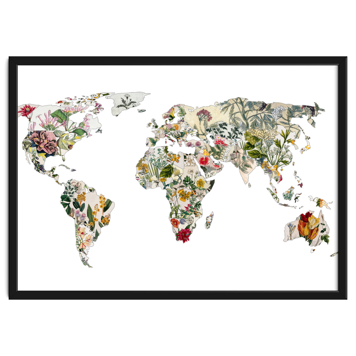 Vintage Botanical Map