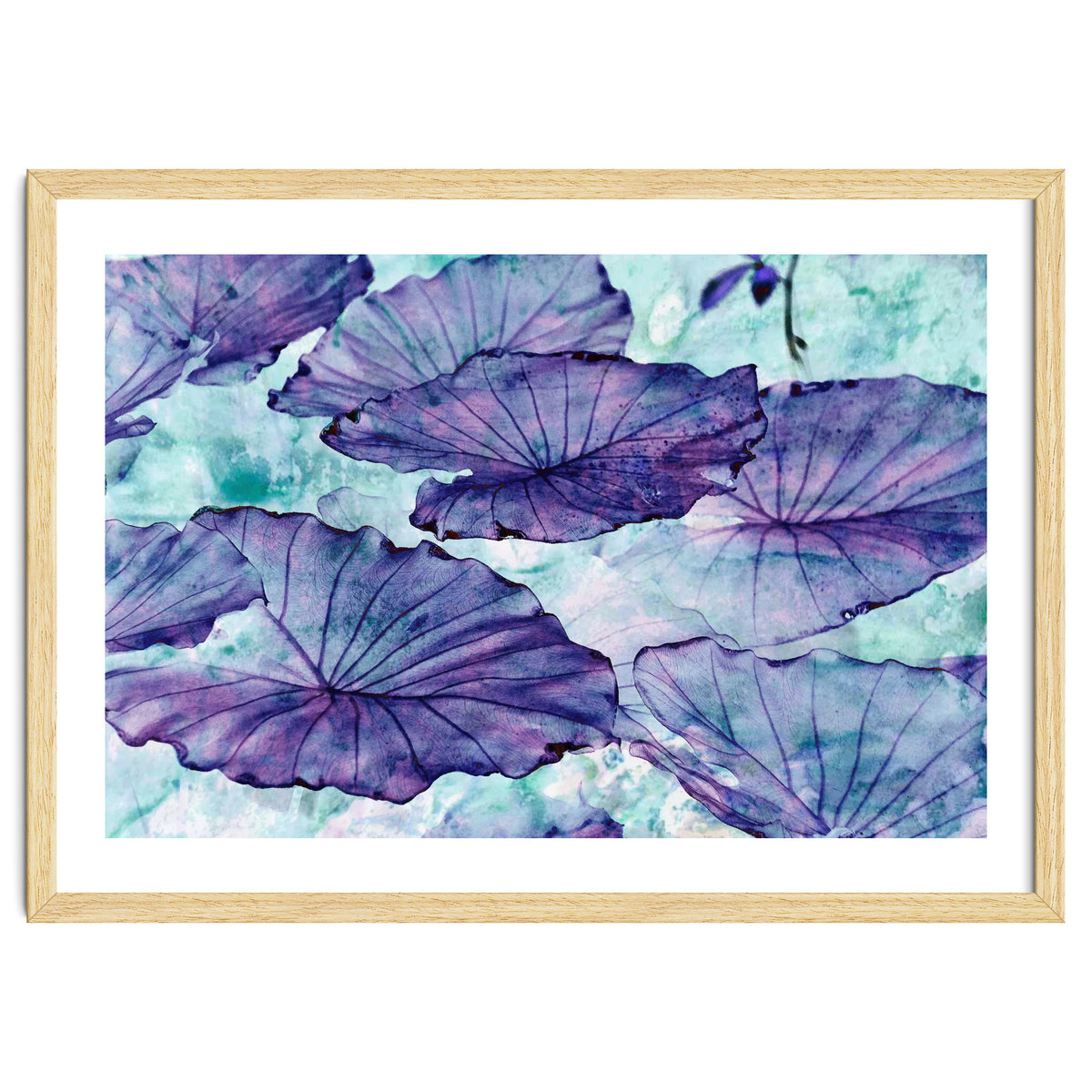 Botanical Surrealism