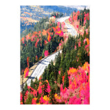 Valley of Pink Trees | Fantasy Pop of Color Forest Nature | Jungle Adventure Road Trip Pine (Print Only) thumbnail