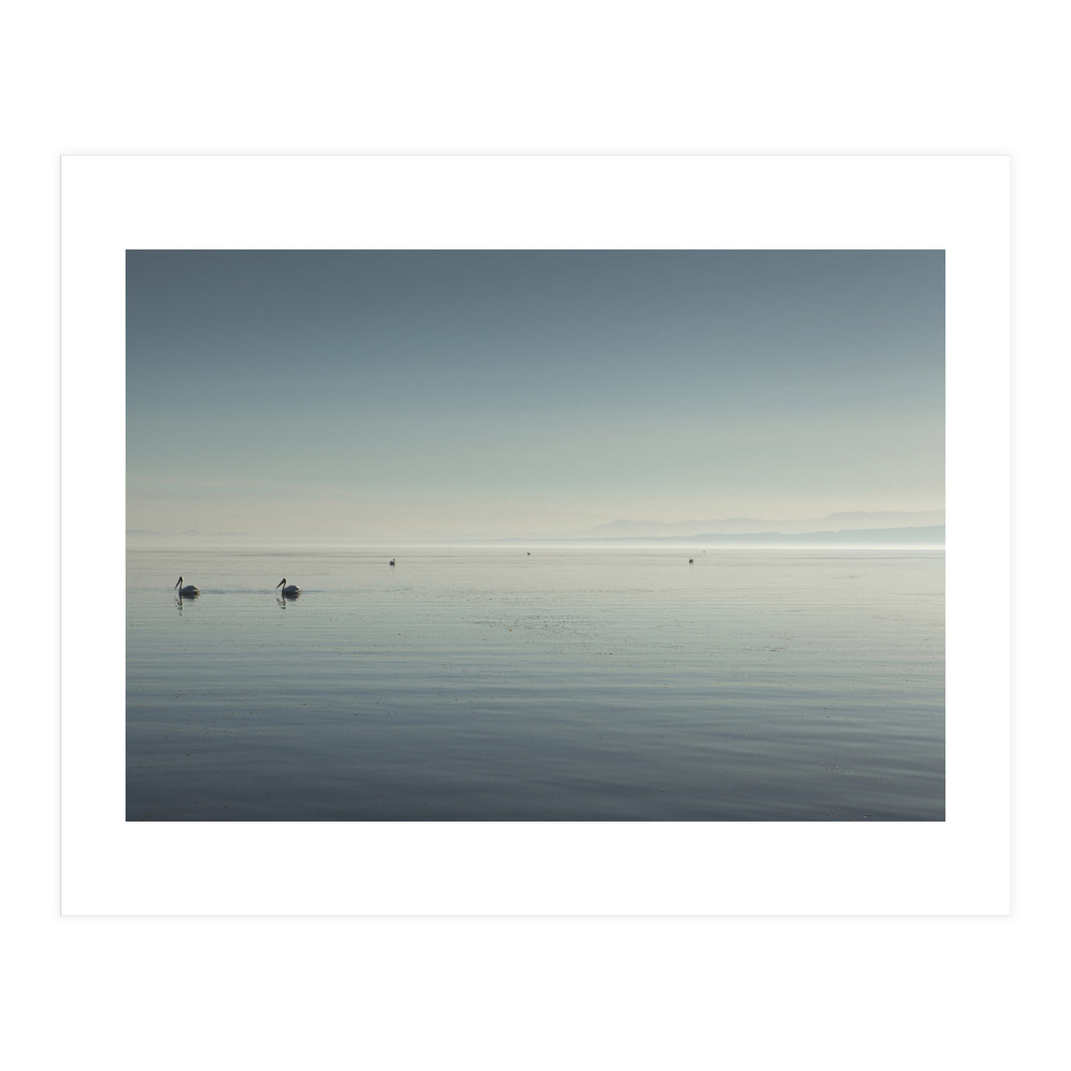 The Salton Sea (Print Only)