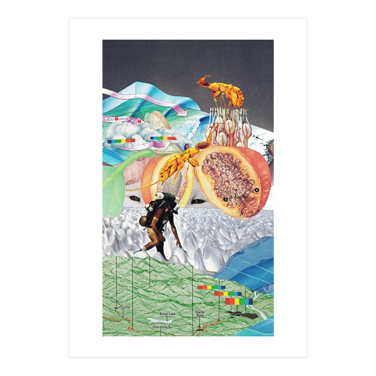 Wonderland (Print Only)