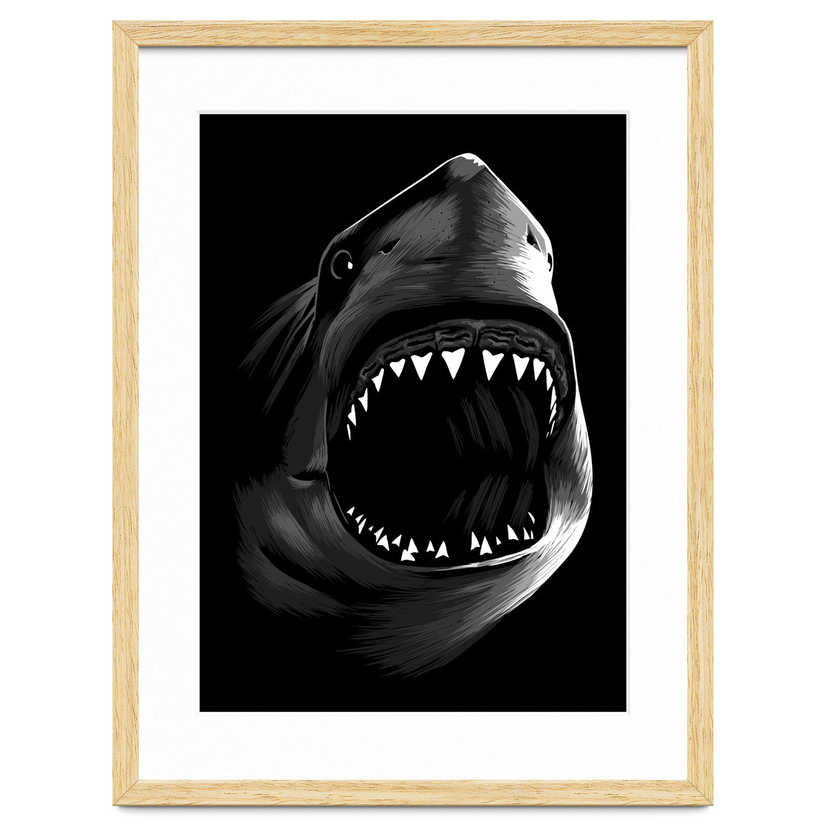 Megalodon