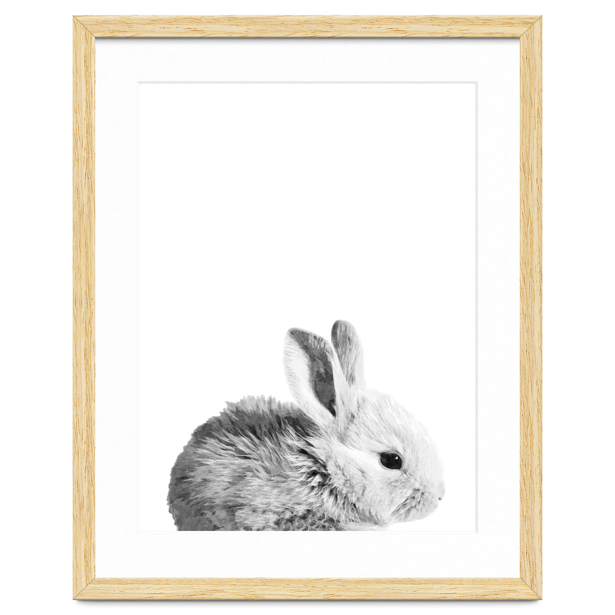 Black and White Bunny Portrait