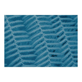 Pteridopsida 3 (Print Only) thumbnail