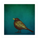 Camouflage: The Blackbird (Print Only) thumbnail