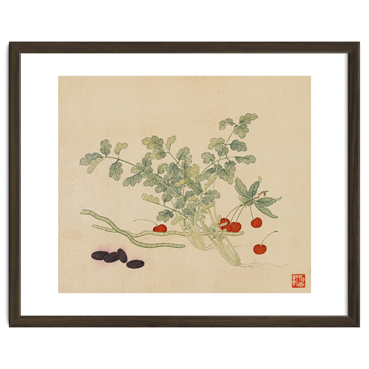 Wang Chengyu~flowers And Vegetables, Vegetables, Fruits, Beans, Red Beans, Cherries, Celery