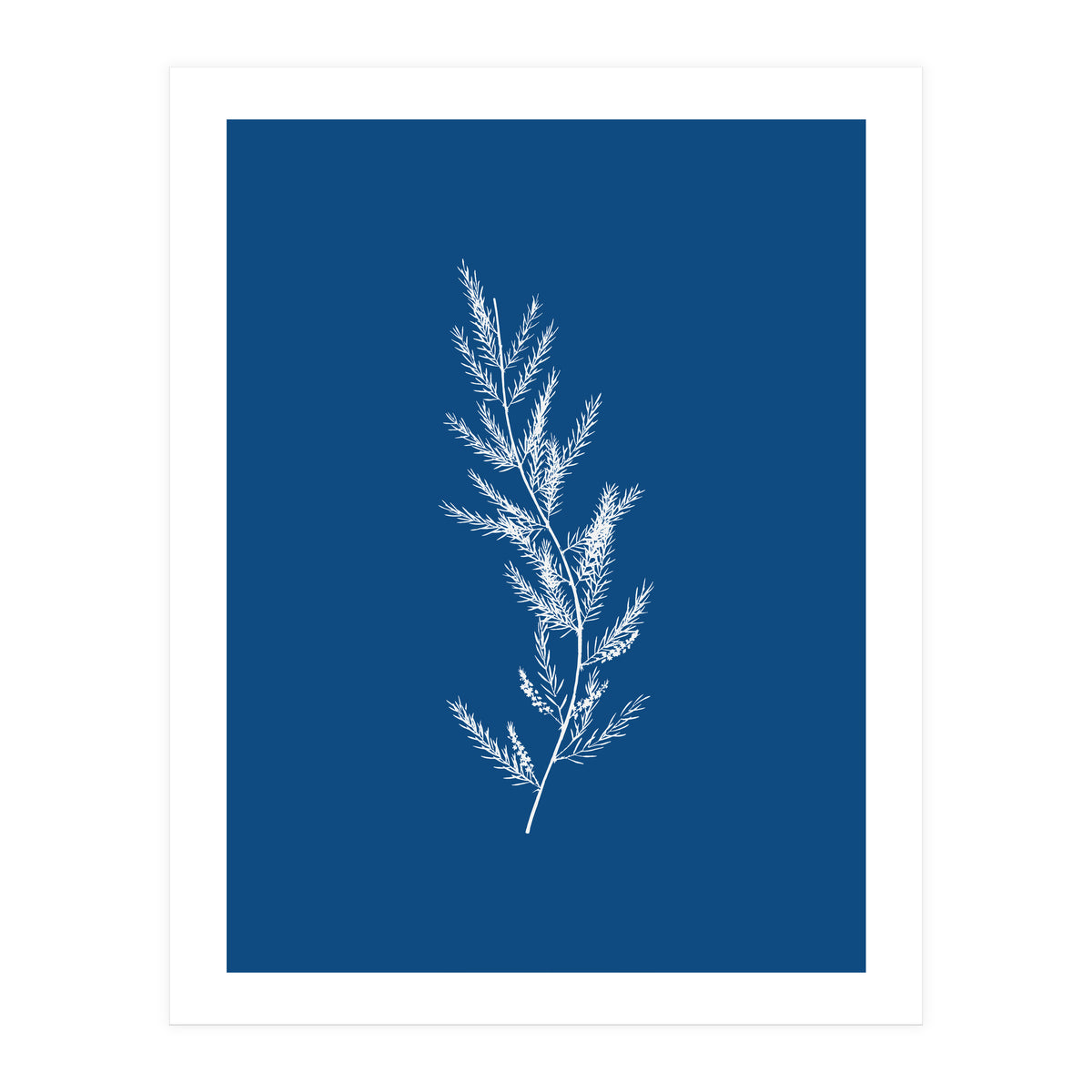 Blue Botanical II (Print Only)