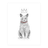 King Of Everything (bw) (Print Only) thumbnail