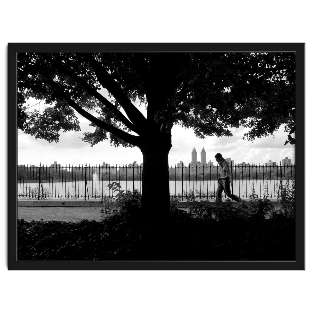 Central Park, New York City