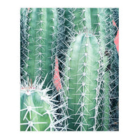 Cactus Up Close (Print Only)