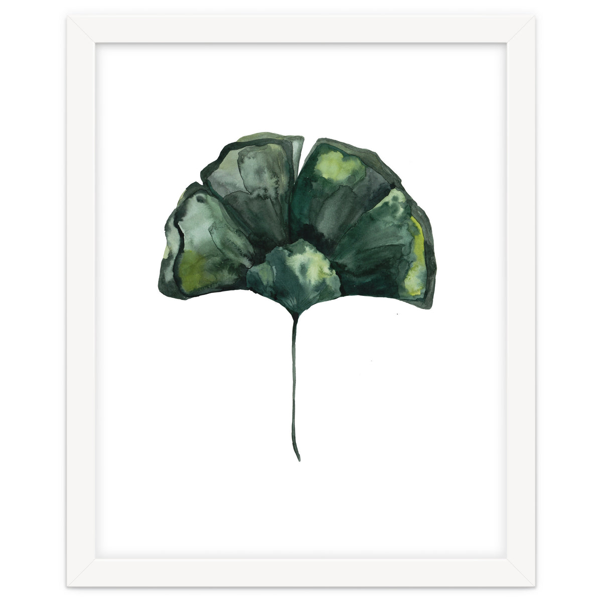 Botanical Illustration Ginko