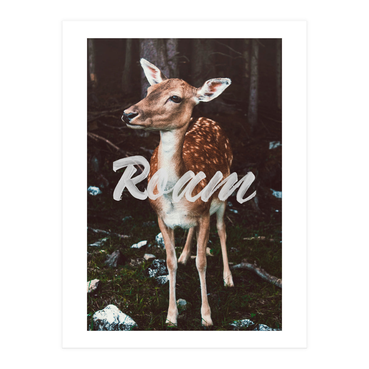 Roam (Print Only)