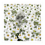 May The Days Be Aimless (Print Only) thumbnail