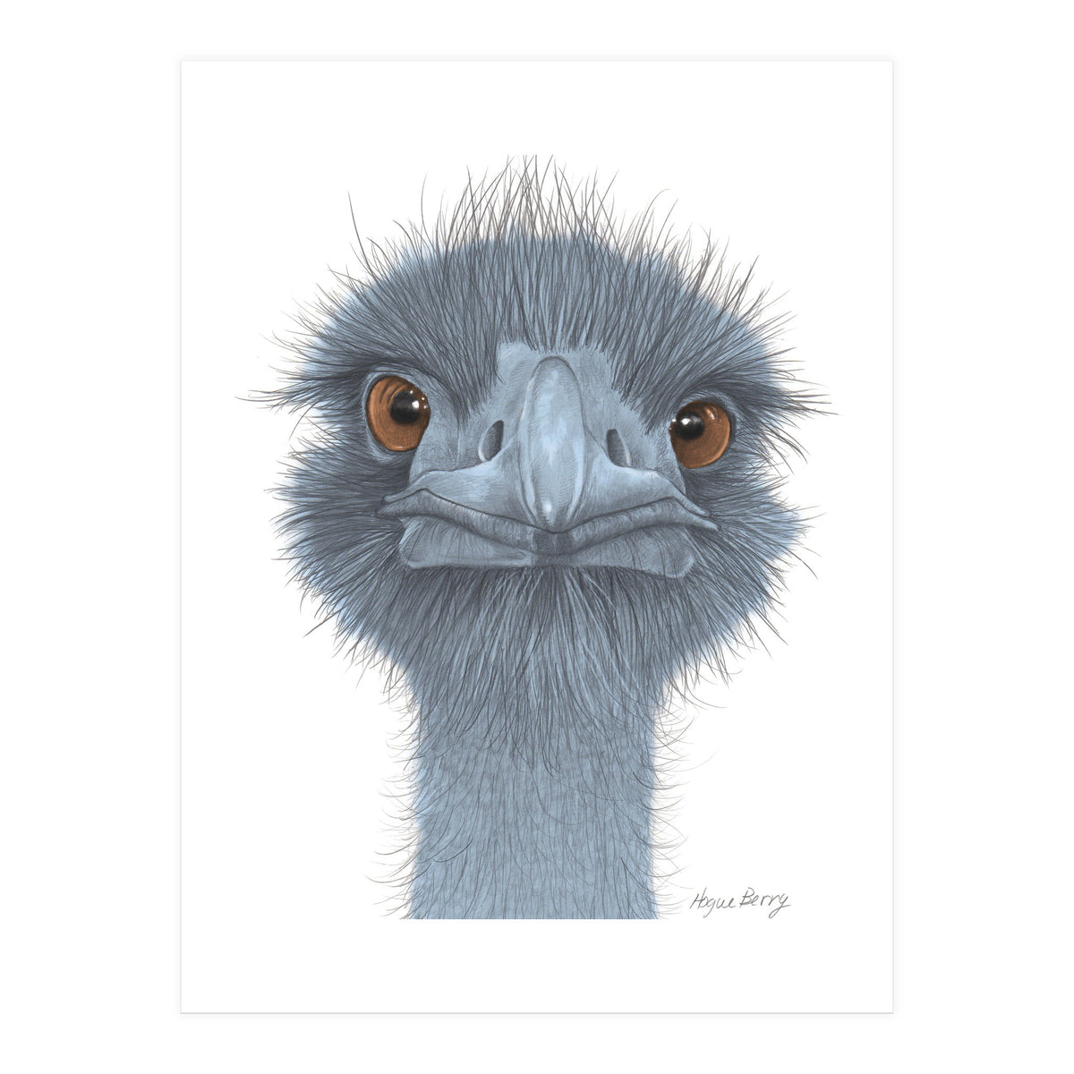 The Blue Emu (Print Only)