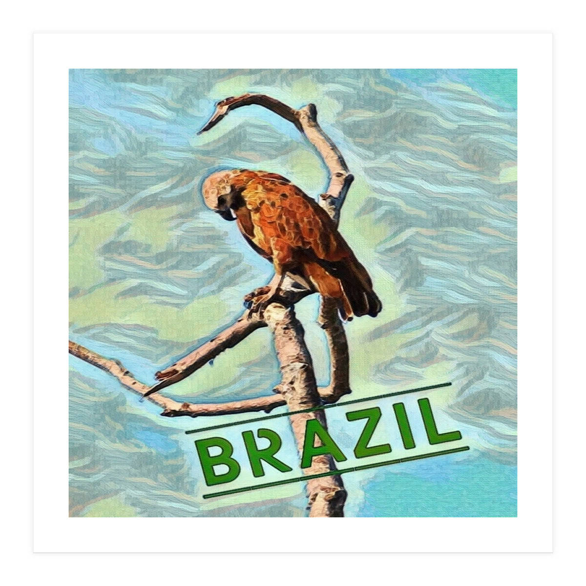 Brazilian resting Eagle (Print Only)
