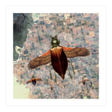 Flying High (Print Only) thumbnail