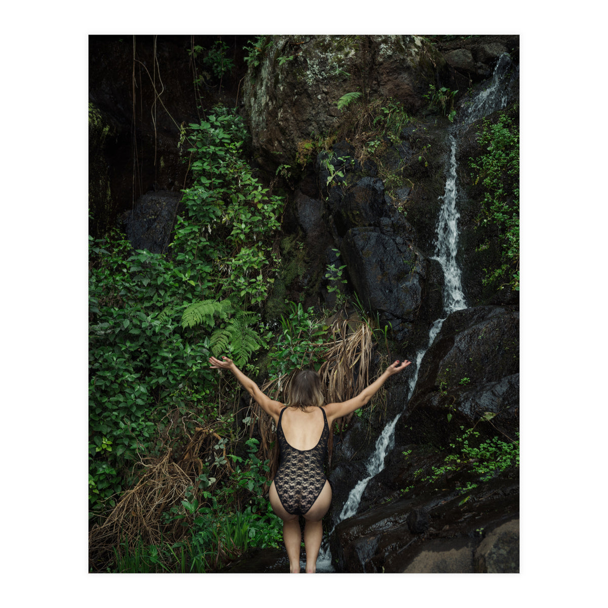 The Fountain of Youth (Print Only)