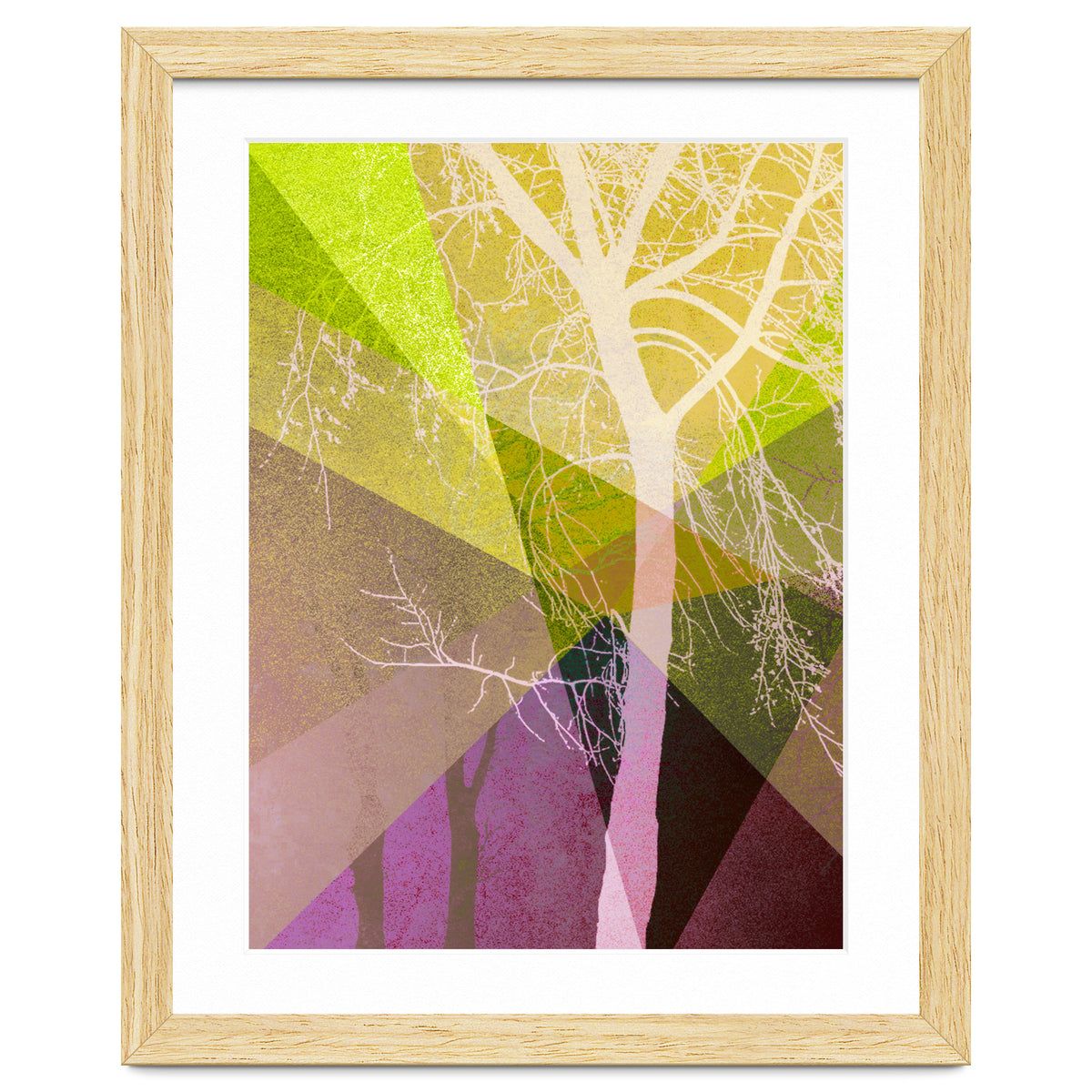 P22 A Trees And Triangles