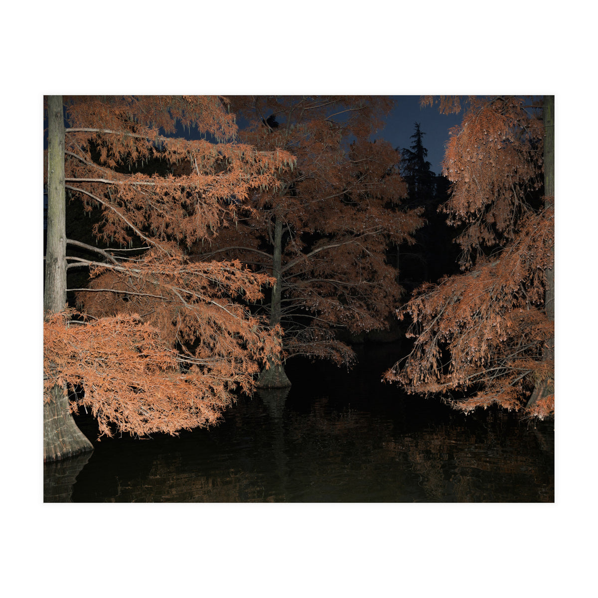 Sleepy Hollow (Print Only)