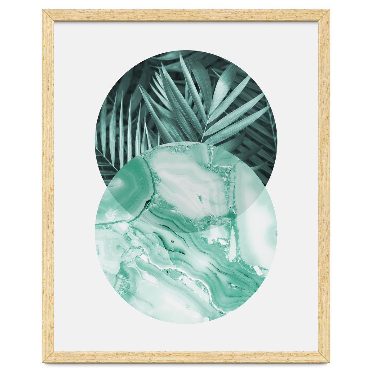 Botanical and geometric IV