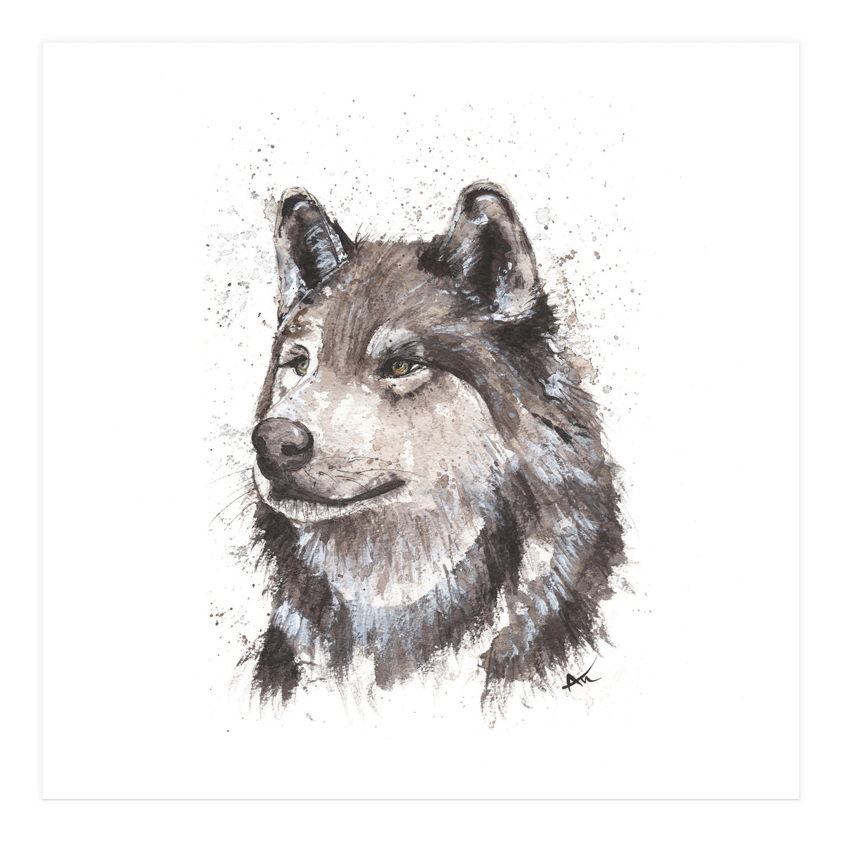 Wolf - Wildlife Collection (Print Only)