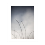 Forgotten Memories of summer #18 (Print Only) thumbnail