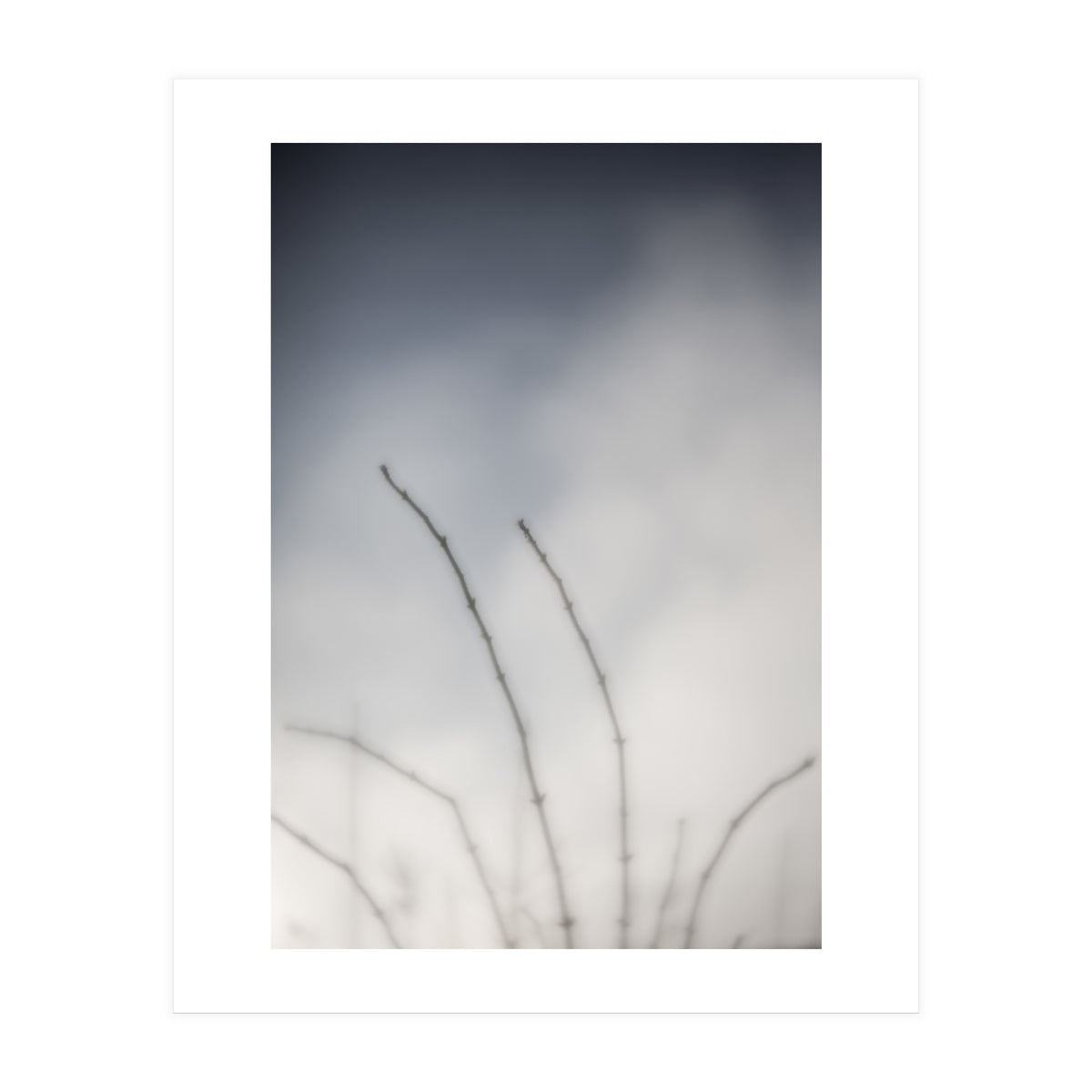 Forgotten Memories of summer #18 (Print Only)