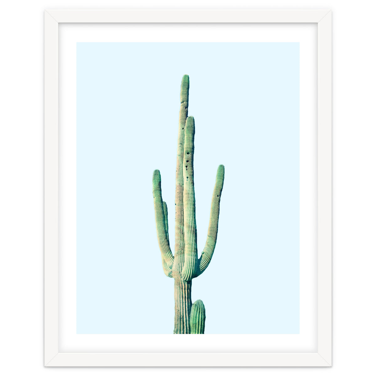 Loner Cactus