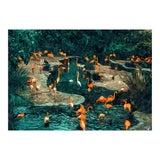 Flamingo Creek (Print Only) thumbnail