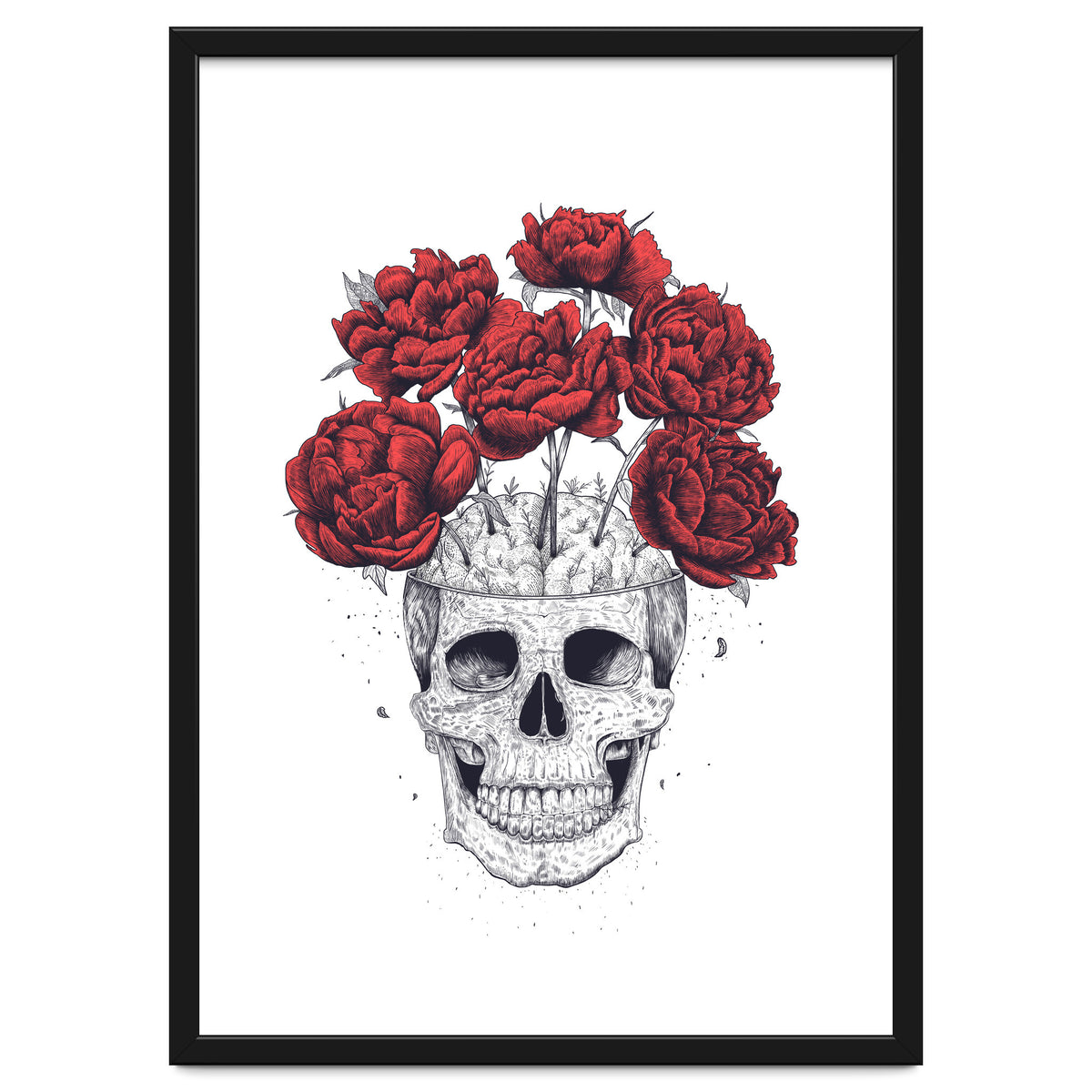Skull With Peonies