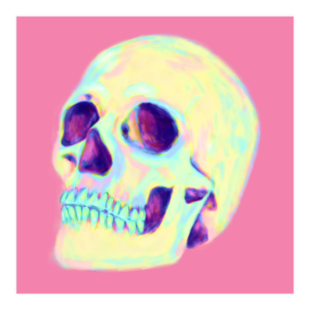 Skull (Print Only)