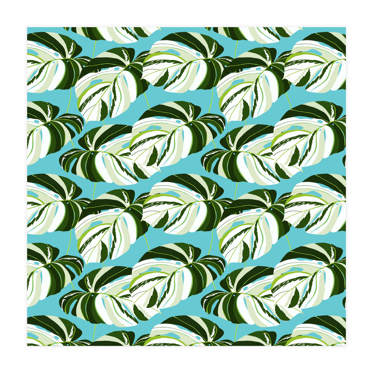 Summer Variegated Monstera | Rainforest Jungle botanical Plants Illustration | Boho Tropical Nature (Print Only)