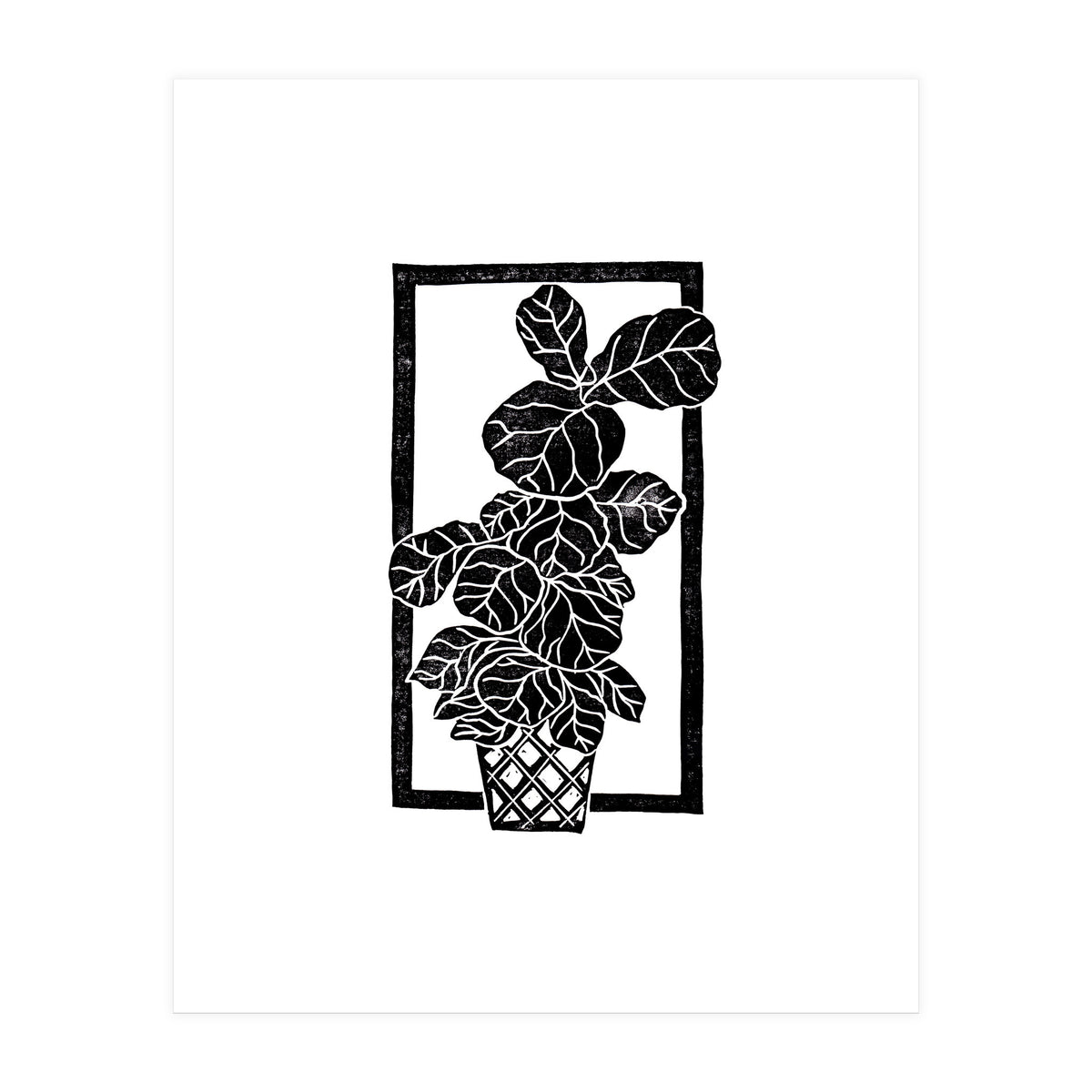 Fiddle Leaf Fig (Print Only)