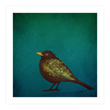 Camouflage: The Blackbird (Print Only) thumbnail