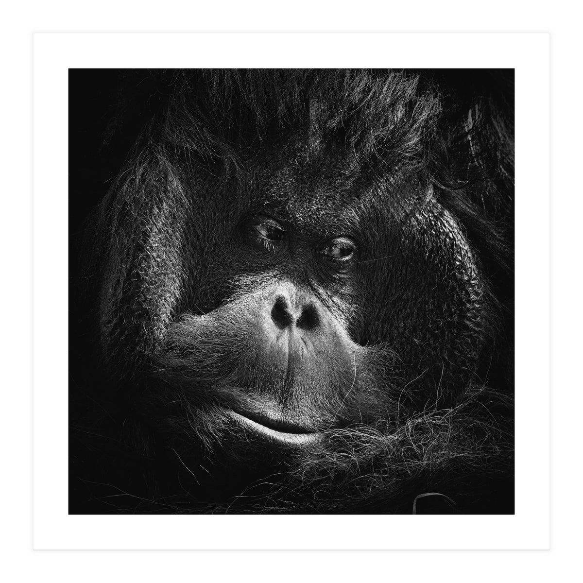 Reasoning (Print Only)