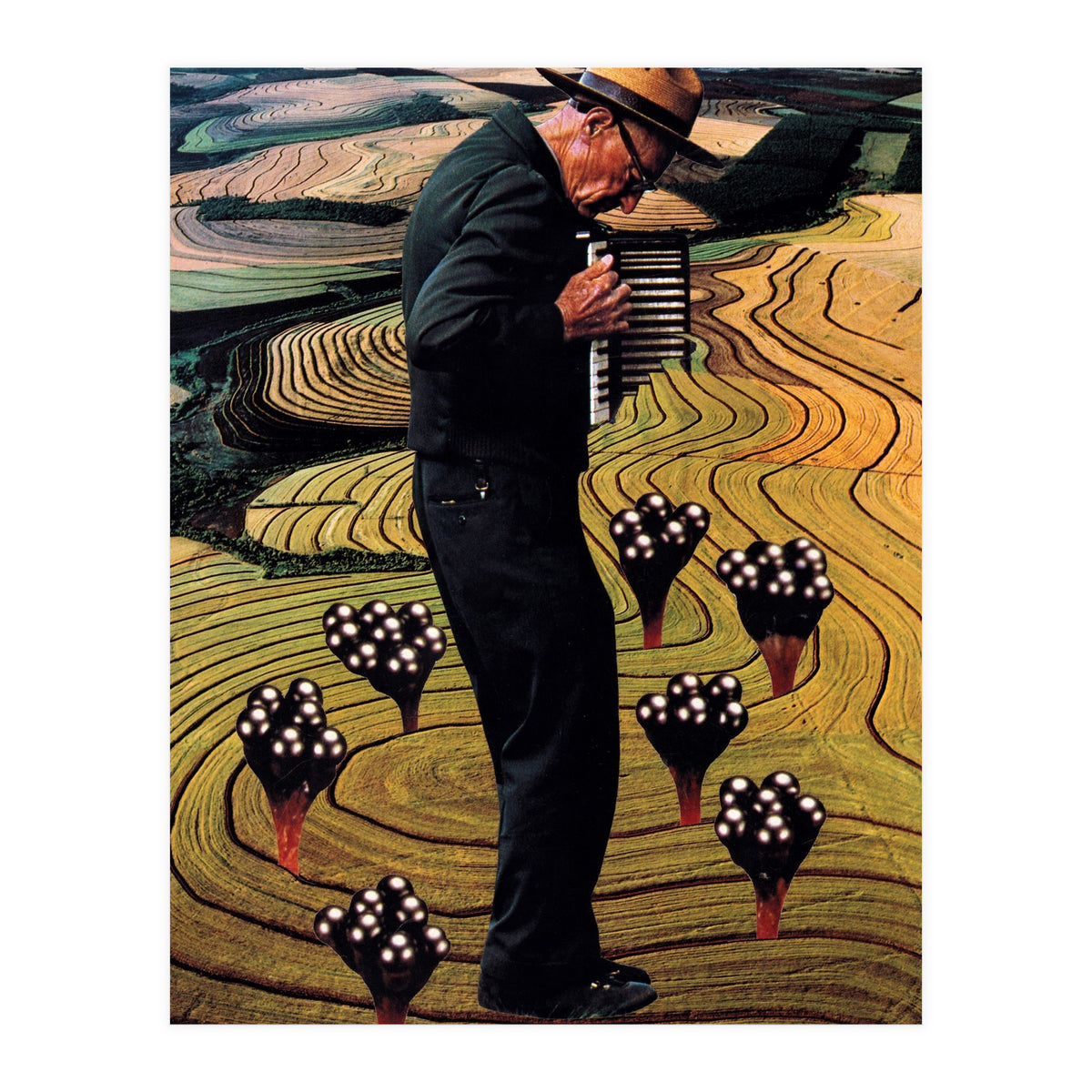 Accordion (Print Only)