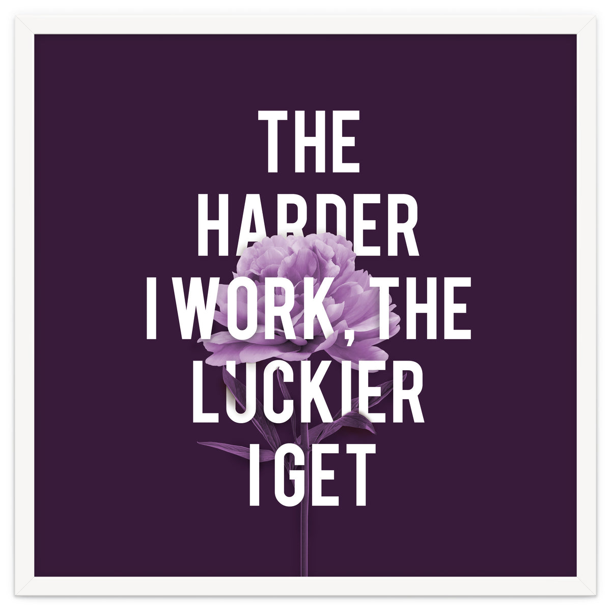 Work Hard Be Lucky