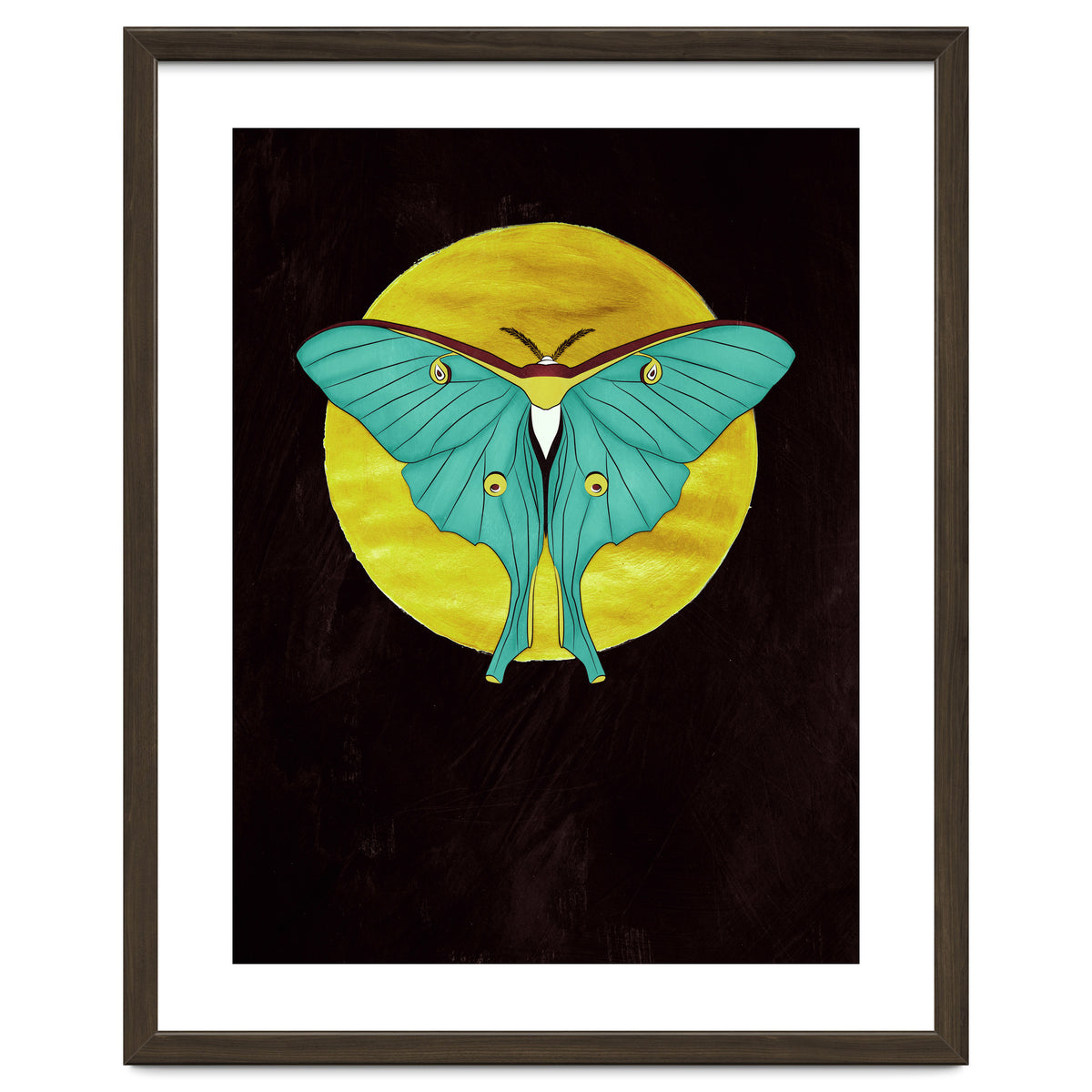 Luna Moth Moon