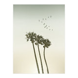 Vintage palm trees at sunset (Print Only) thumbnail