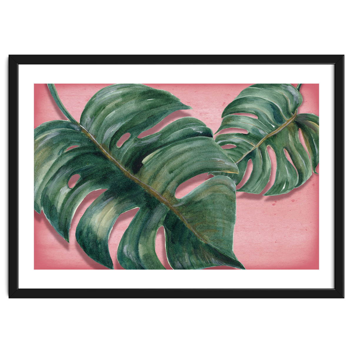 Monstera Leaf