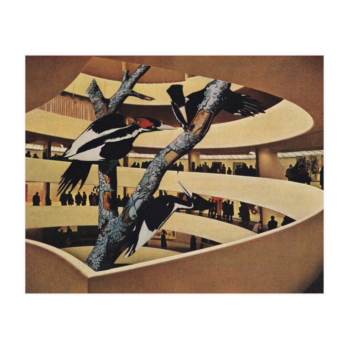 Art Museum (Print Only)