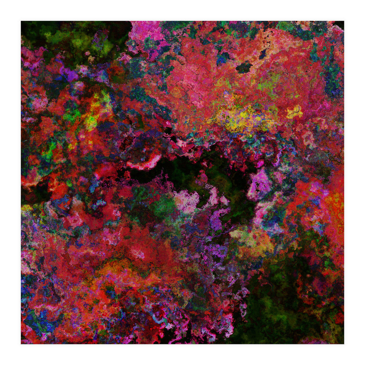 Blooms  (Print Only)