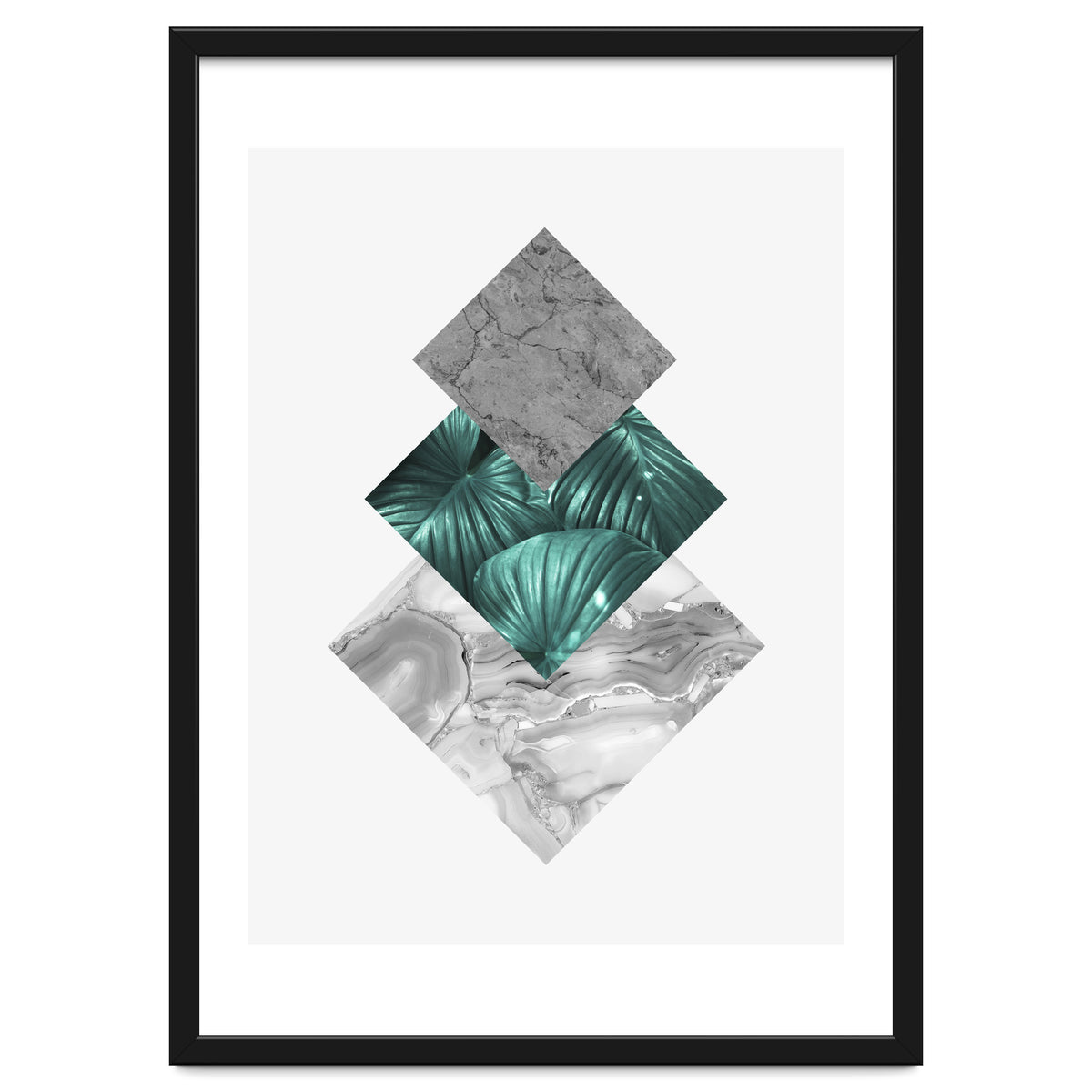 Botanical and geometric V