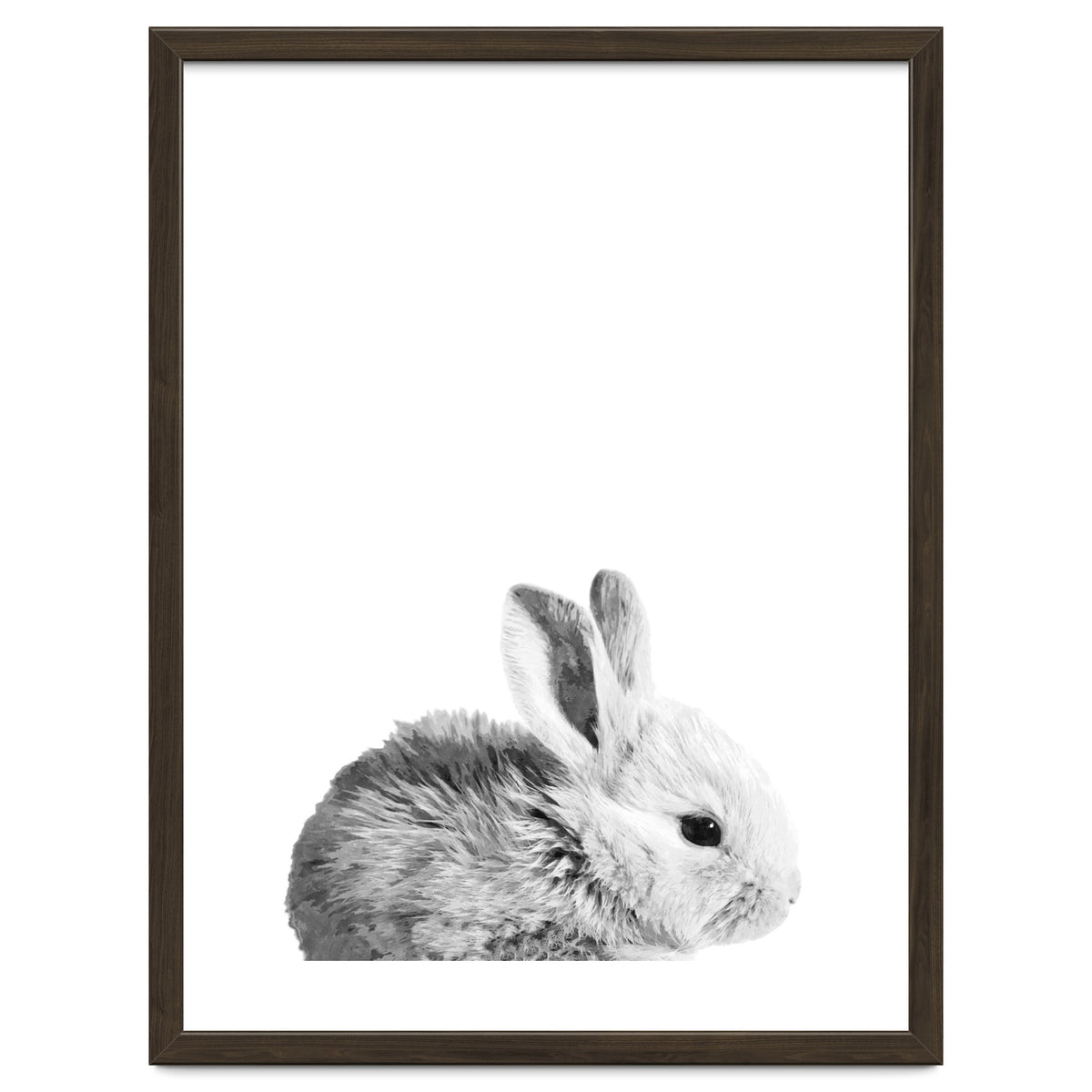 Black and White Bunny Portrait