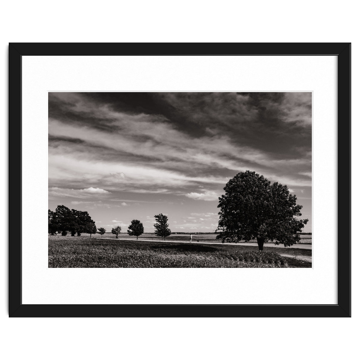 Country Road, Illinois